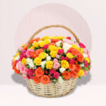 Colourfull Basket