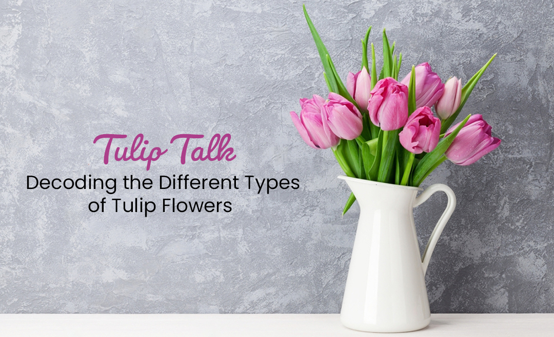 Did You Know The Different Types Of Tulip Flowers?